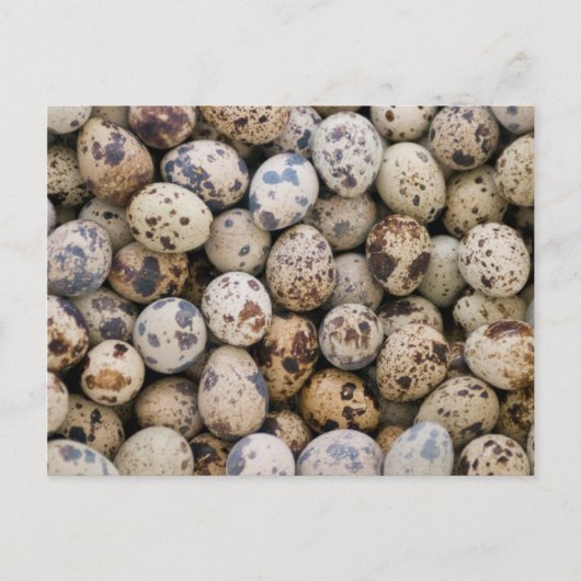 Quail Eggs, Huaraz, Cordillera Blanca, Ancash Briefkaart (Voorkant)