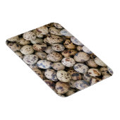 Quail Eggs, Huaraz, Cordillera Blanca, Ancash Magneet (Rechterzijde)