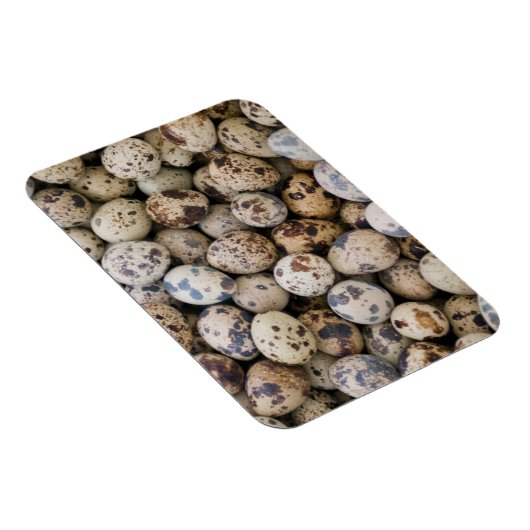 Quail Eggs, Huaraz, Cordillera Blanca, Ancash Magneet (Rechterzijde)