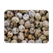 Quail Eggs, Huaraz, Cordillera Blanca, Ancash Magneet (Horizontaal)