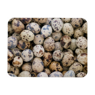 Quail Eggs, Huaraz, Cordillera Blanca, Ancash Magneet