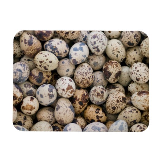 Quail Eggs, Huaraz, Cordillera Blanca, Ancash Magneet (Horizontaal)