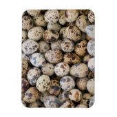 Quail Eggs, Huaraz, Cordillera Blanca, Ancash Magneet (Verticaal)