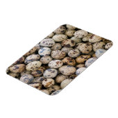 Quail Eggs, Huaraz, Cordillera Blanca, Ancash Magneet (Linkerzijde)