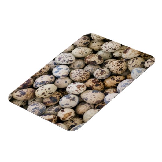 Quail Eggs, Huaraz, Cordillera Blanca, Ancash Magneet (Linkerzijde)