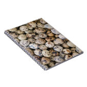 Quail Eggs, Huaraz, Cordillera Blanca, Ancash Notitieboek (Rechterzijde)