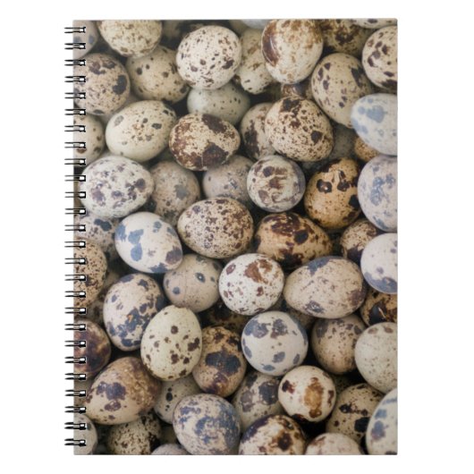 Quail Eggs, Huaraz, Cordillera Blanca, Ancash Notitieboek (Voorkant)