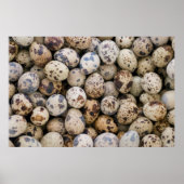 Quail Eggs, Huaraz, Cordillera Blanca, Ancash Poster (Voorkant)