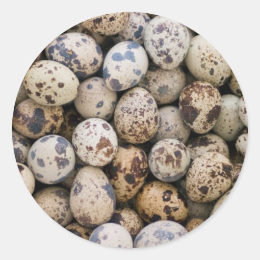 Quail Eggs, Huaraz, Cordillera Blanca, Ancash Ronde Sticker (Voorkant)