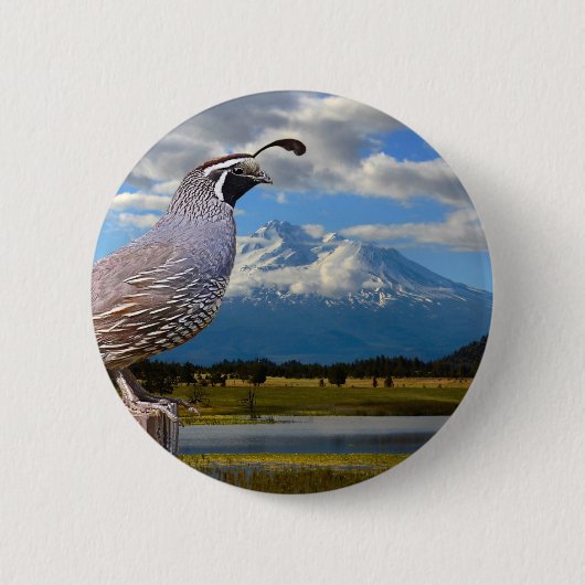QUAIL EN MT SHASTA RONDE BUTTON 5,7 CM (Voorkant)