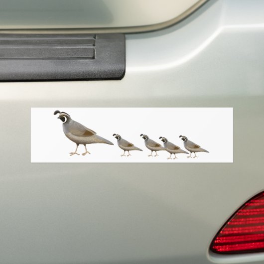 Quail Family Bumpersticker (Op auto)
