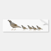 Quail Family Bumpersticker (Voorkant)