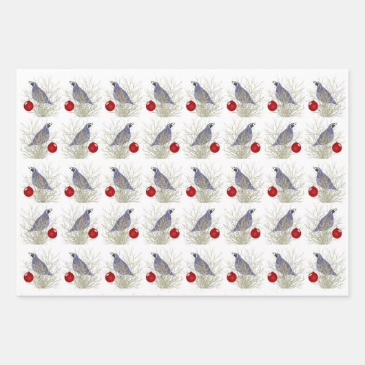 Quail Holiday Wrapping Paper Sheets (Voorkant 2)