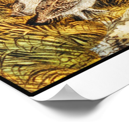 Quail Hunting -  fijne kunst Poster (Hoek)