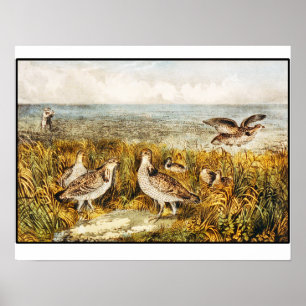 Quail Hunting -  fijne kunst Poster