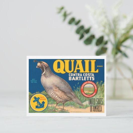Quail Merk Contra Costa Bartletts Crate L Briefkaart (Staand voorkant)