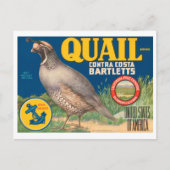 Quail Merk Contra Costa Bartletts  Crate L Briefkaart (Voorkant)