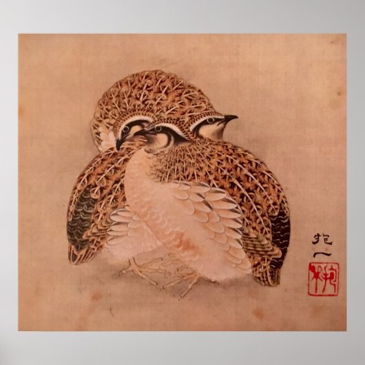 Quail Trio Poster (Voorkant)