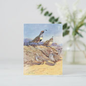 Quails van Allan Brooks Briefkaart (Staand voorkant)