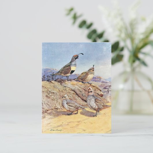 Quails van Allan Brooks Briefkaart (Staand voorkant)