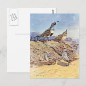 Quails van Allan Brooks Briefkaart (Voorkant / Achterkant)