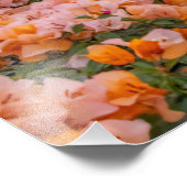 Quaint Mexico Town bij zonsondergang Foto Afdruk (Hoek)