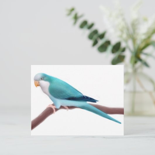 Quaker Paraket Briefkaart (Staand voorkant)