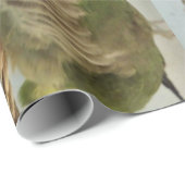 Quaker Parkiet Inpakpapier (Rol Hoek)