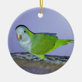 Quaker Parrot Keramisch Ornament (Voorkant)