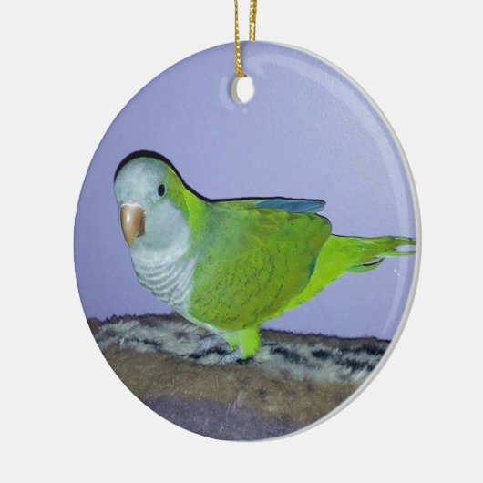 Quaker Parrot Keramisch Ornament (Links)
