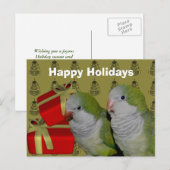 Quaker Parrot-kerstfeestdag Briefkaart (Voorkant / Achterkant)