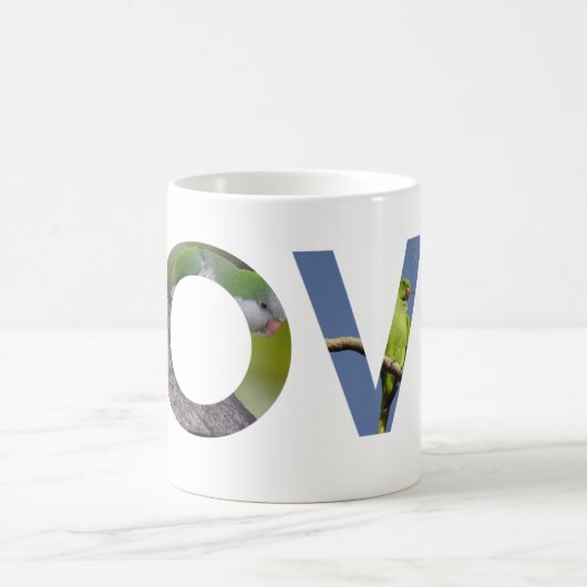 Quaker Parrot Mok (Center)