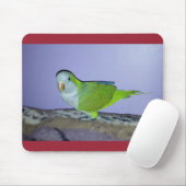 Quaker Parrot Mousepad Muismat (Met muis)