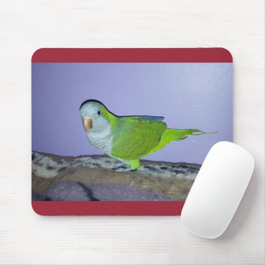 Quaker Parrot Mousepad Muismat (Met muis)