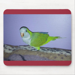 Quaker Parrot Mousepad Muismat
