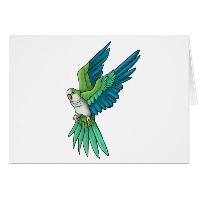 Quaker Parrot-producten (Voorkant Horizontaal)