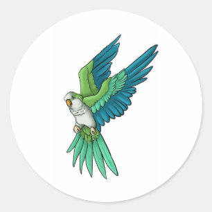 Quaker Parrot-producten Ronde Sticker