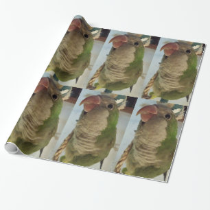 Quaker Parrot Wrapping Paper Cadeaupapier