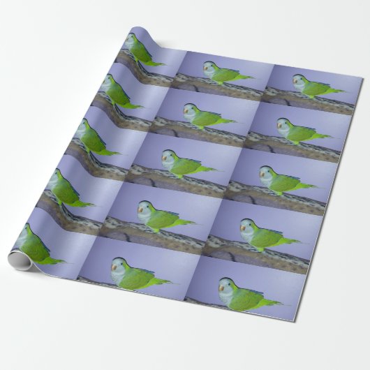 Quaker Parrot Wrapping Paper Cadeaupapier (Uitgerold)