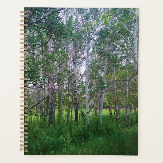 Quakies Planner (Voorkant)