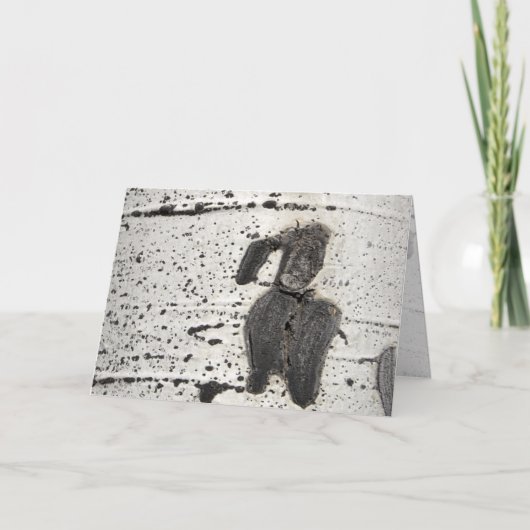 Quaking Aspen Bark Foto gefilterd Blank binnen Kaart (Voorkant)