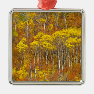 Quaking aspen grot in piekherfstkleur in metalen ornament
