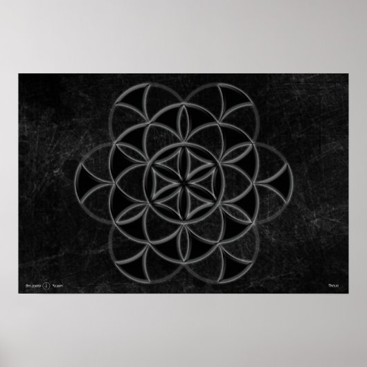 Qualia Poster (Voorkant)