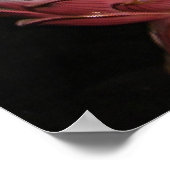 Quan Yin Goddess of Mercy Buddha Meditation Poster (Hoek)