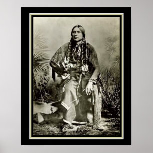 Quanah Parker- Last Comanche Chief 16 x 20 Poster