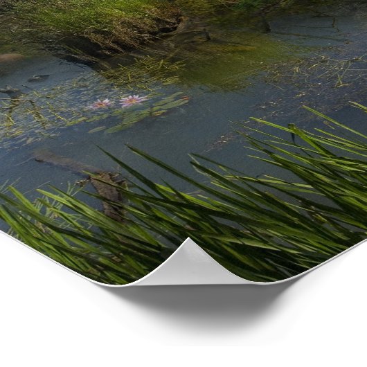 Quantarasitto - Poster (Hoek)