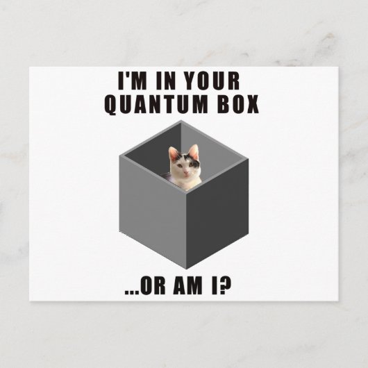 Quantum Cat Briefkaart (Voorkant)
