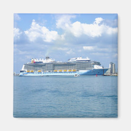 Quantum Maneuvers Canaveral Magneet