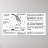 Quantum Mechanics Multiverse Omega Point Diagram Poster (Voorkant)