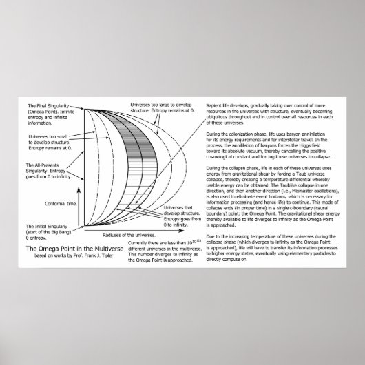 Quantum Mechanics Multiverse Omega Point Diagram Poster (Voorkant)